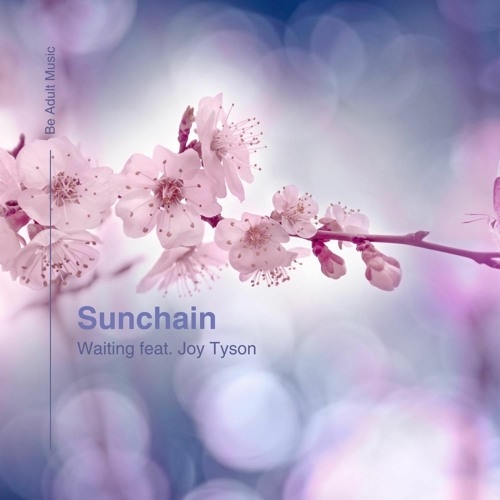 Sunchain feat. Joy Tyson - Waiting [BAM333]